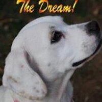RescueMeHART (@rescuemehart) 's Twitter Profile