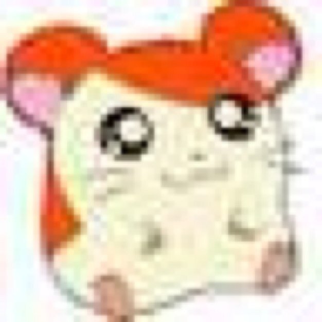 吹中 家政 日芸 BSSO