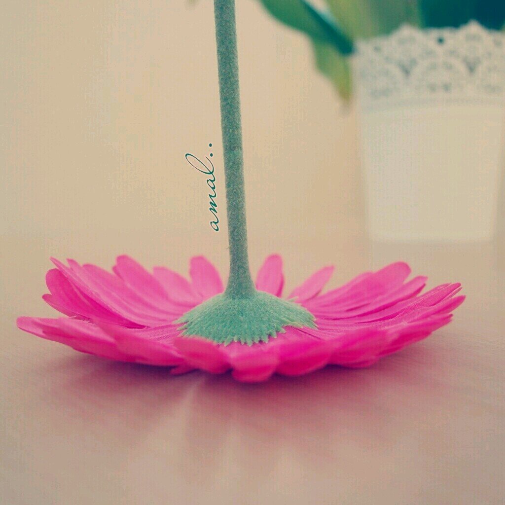 ‏‏‏‏‏أطمح أن ارقى بصدق عطائي لمايقربي لجناااات ربي... وأتمنى الخير والسعادة لمن هم حولي...فيآآآرب....حقق لي آملي ...♥...