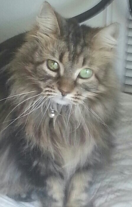 mayday2744's profile picture. Happily retired' mother & grandmother. Love my God, family and all living things. Been there, done that and still trying.