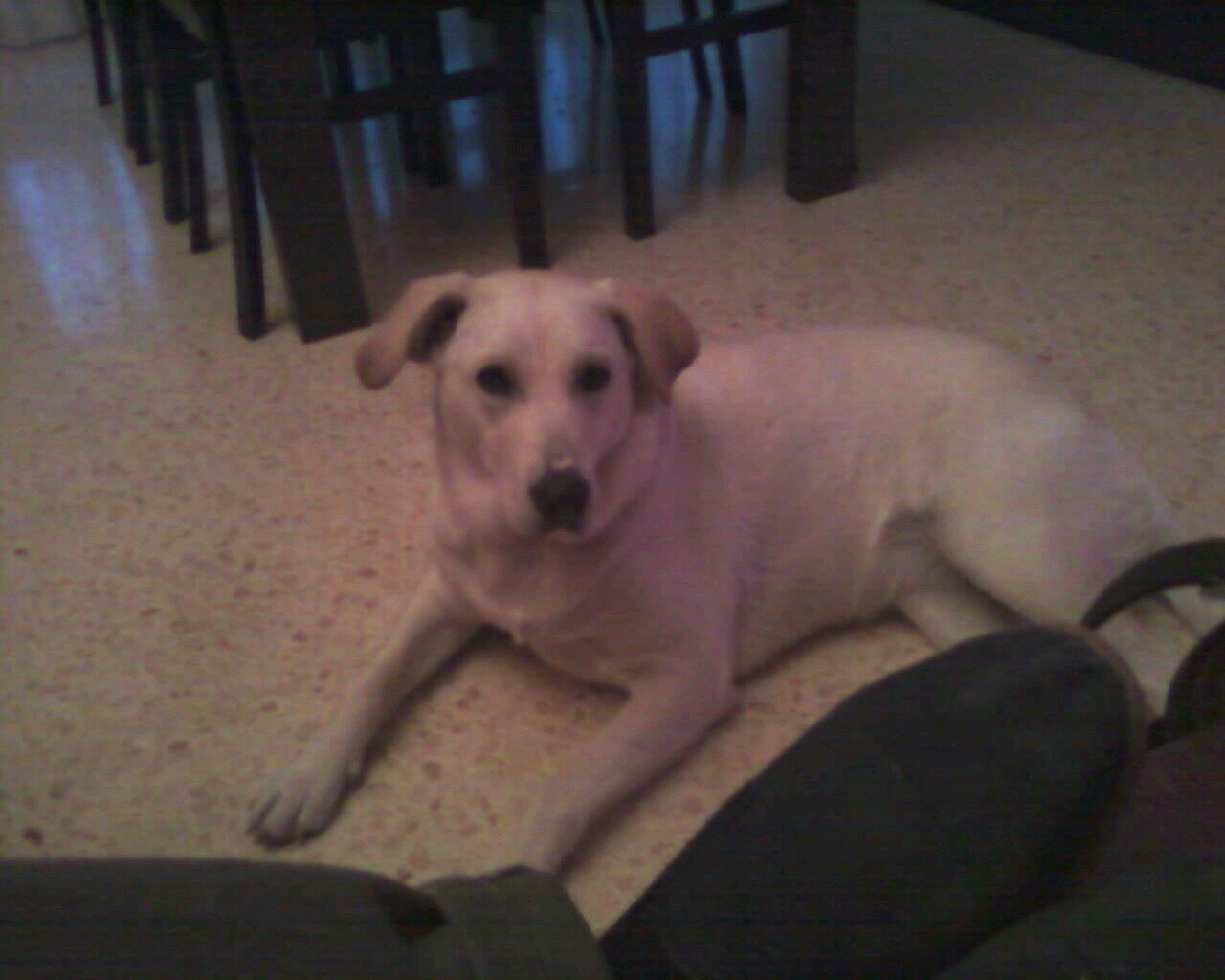 gemma_gemma69's profile picture. 