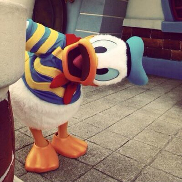 24chi24's profile picture. 