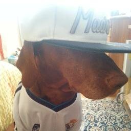 agent00i's profile picture. Coding and playin' the guitar...