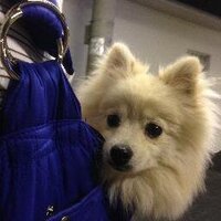 Masaru Shiigai (@youk17) 's Twitter Profile