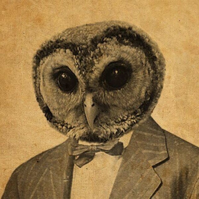The Owl Man 18