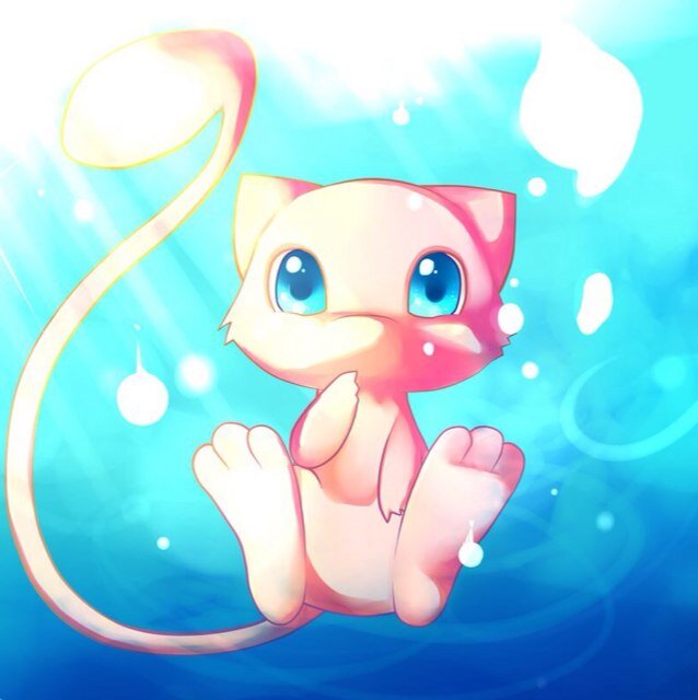 Mew mew mew!