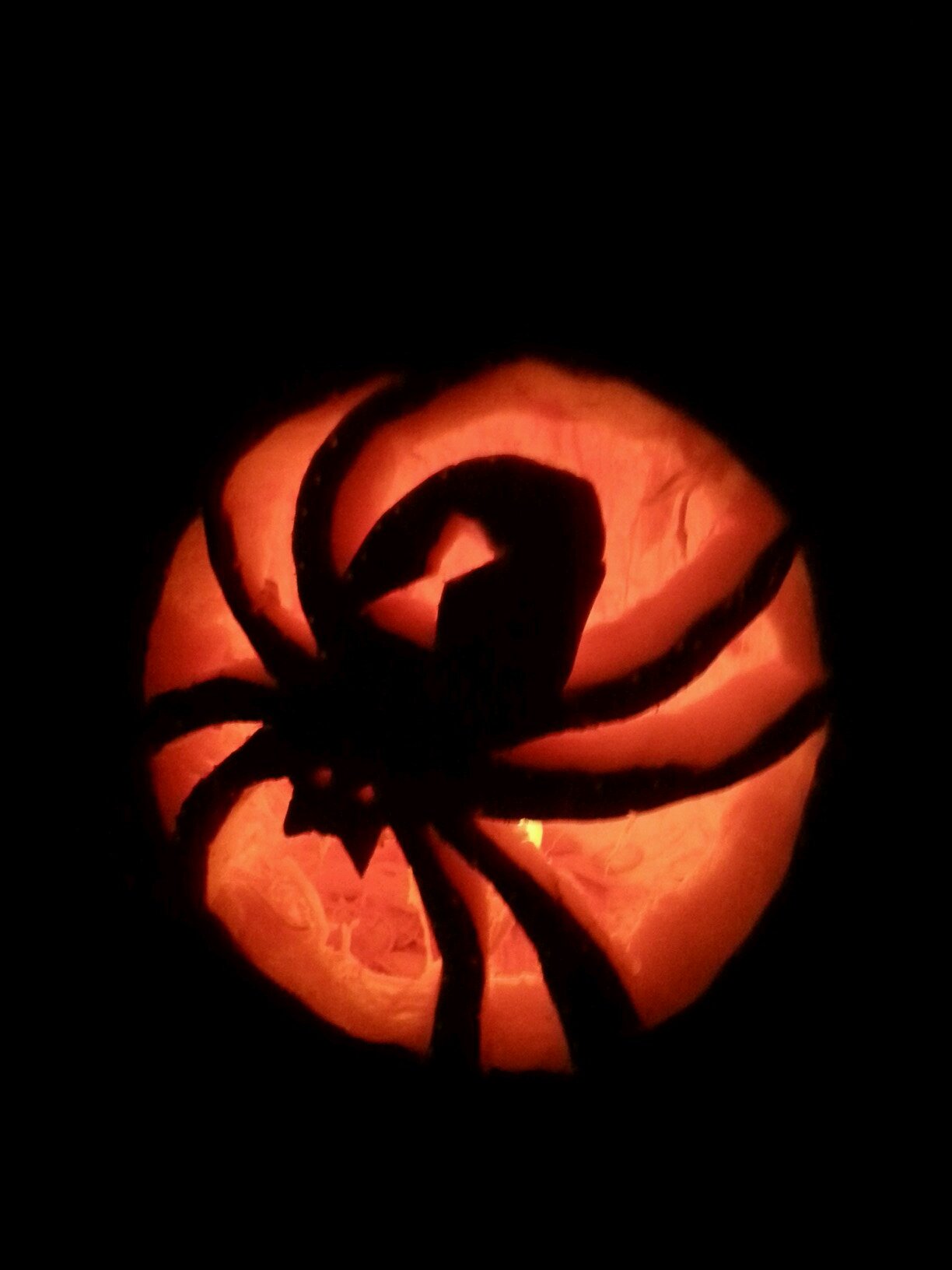 sellison_teachn's profile picture. Mom, wife, teacher.