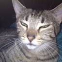 Deb Reed - @Sooki__Monster - Twitter