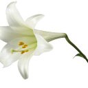 Mary Beth Graves - @mbeetlebug52 - Twitter