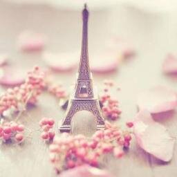 Harry,Zayn,Louis,Niall,Liam... Please follow me :(