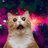 ntlk.gif