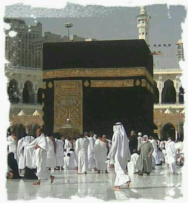 أنا يزيد مسعود سعد العقيلي المطيري (محافظة عفيف)