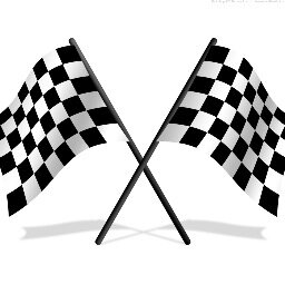Motorsport Marshal and Motorsport Artist.