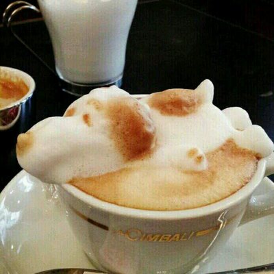 ちっぷ