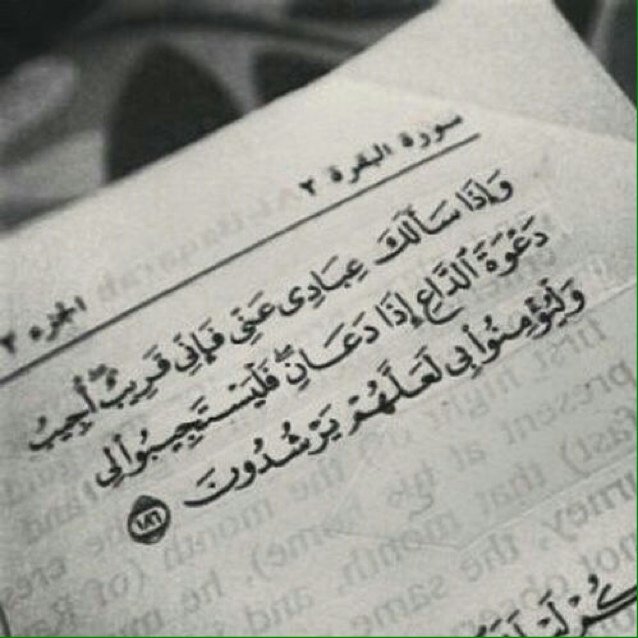 ‏‏‏‏‏‏‏‏مزاجَي بسيُط لا اتصُنع ايّ شعَور احُب العفويہَ بكِل شيء ۈأكره المُجاملاتّ لا اؤمنَ بثقافُة ‏الإنتقام‏ لكن أؤمن بمبُدأ كما تديَن تُدان