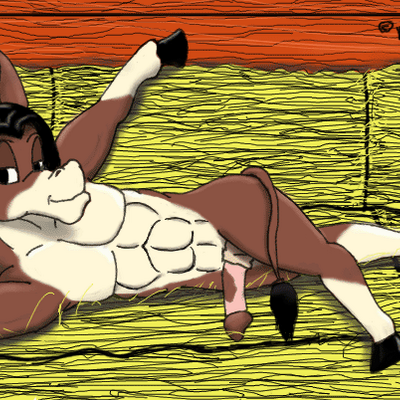 donkey porn donkey porn