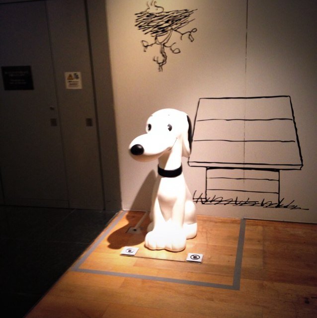 62_sugur's profile picture. 