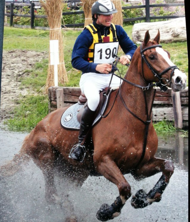 stalbeukers's profile picture. Stal Marcel Beukers, voor Paard & Sport op niveau!