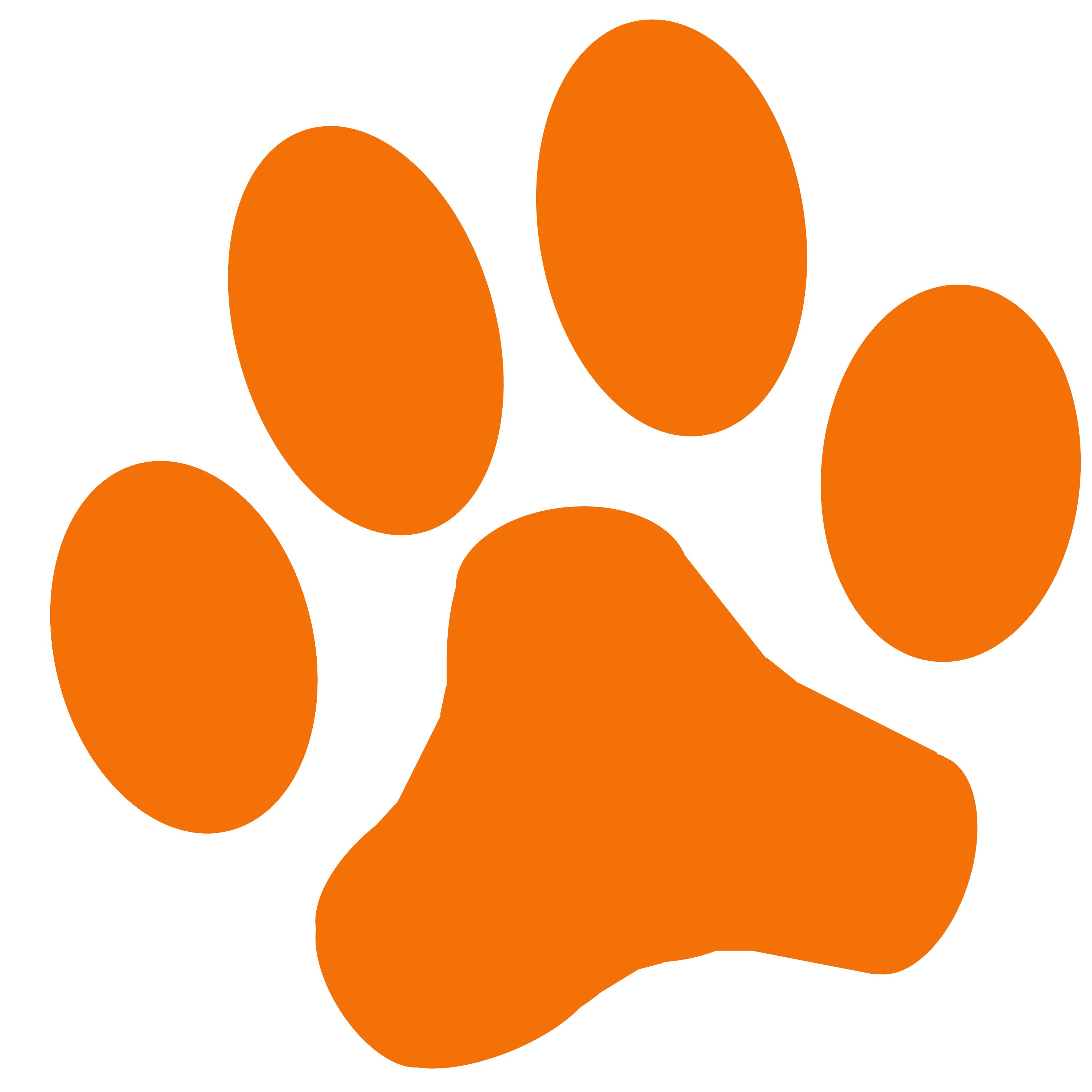 Follow me for the latest scholarship information, reminders of approaching deadlines, and tips for applying for scholarships and financial aid!