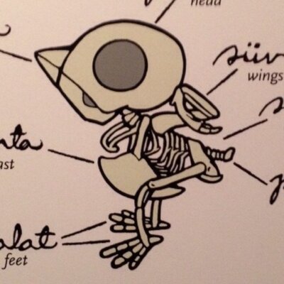 こひがまさき
