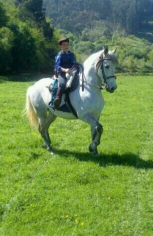 ferias,fiestas , caballos...                                         San felices de buelna