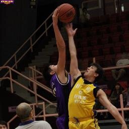 Applied Mathematician, Basketball Player, Eurosceptic, Nationalist.