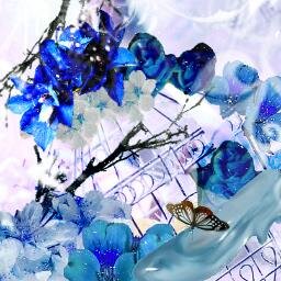 瑠樺🍎memo投稿さんのプロフィール画像