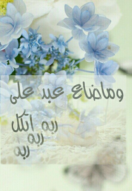 ان كنت رجل بحق فلا تراسلني وان كنت غير ذلك فكبر على قلبك اربعاً فلم يعد لك قلب