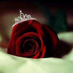 ‏وكأنّ قلبڪ خلق من الورد 🌸ڪلمآ نبض نبضة ملأ المڪان عِطراً ..💚