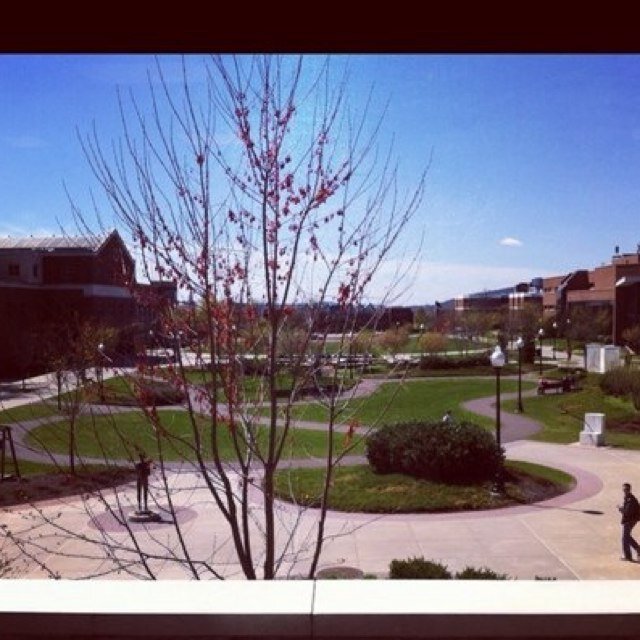 Bloom_Problems's profile picture. #bloomproblems No affiliation with Bloomsburg University. No post grad donations.