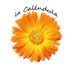 La Caléndula (@lacalendulanews) Twitter profile photo La Caléndula (@lacalendulanews) Twitter profile photo