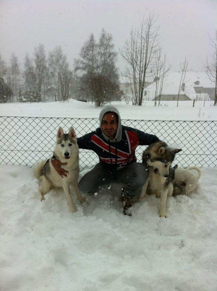 fr_mus's profile picture. 