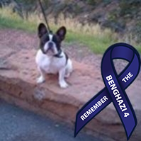My name is Osage Plains Cikala Akicita which means Little Soldier. You can call me Sarge! I am a Patriot, French Bulldog born on the Osage Plains of Oklahoma.
