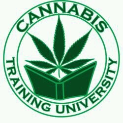 #GROENBLOEDJES #ONGEVAARLIJK #WEED   Te nemen met een korreltje pitu