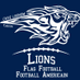 Lions De Carvin (@LionsDeCarvin) Twitter profile photo