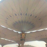 FAYI (@fa888221) 's Twitter Profile Photo