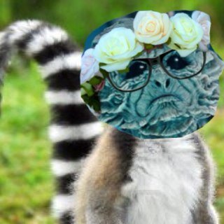Engineer on the enterprise, always with scotty and always climbing. #climbingisfun #starswagenterprise (i am also a lemur . . )