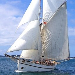 Réal-iste (réalisateur-scénariste) + mes enfants, lire, aller au cinéma, naviguer à la voile. La vie, quoi ! Abonné Facebook pro à reculons…