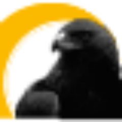 sapui5's profile picture. 