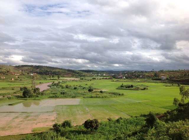 falyraza's profile picture. 