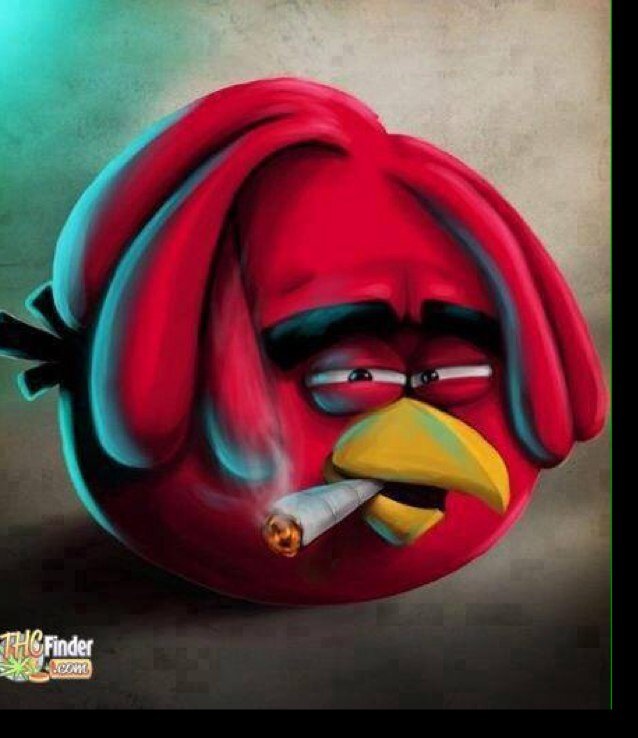 Funny Follow Respect...!!!! #TeamBaLariChenn #TeamToutBitin