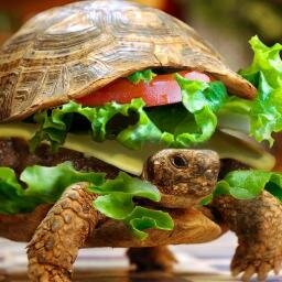 wowasado's profile picture. Especie en Peligro de Extinción, Información Política desde el Popal más Grande de Mexico. Sin preferencias, Viva Tabasco!