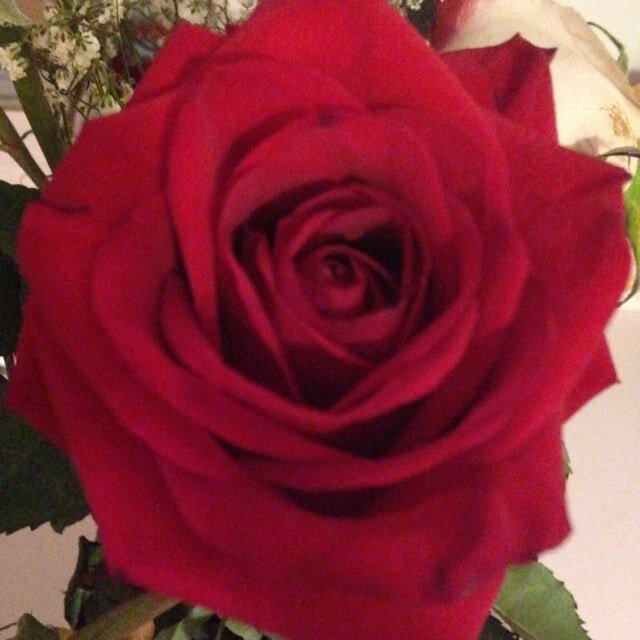 Lovingitbroke's profile picture. Sharing my thoughts on living and loving the life of a broke twenty something. Topics include recipes, career, fitness, decor, crafts and more!