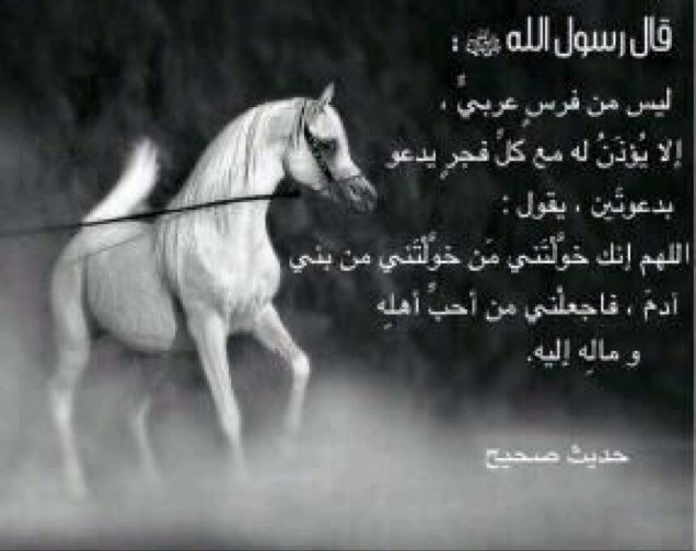 الخيل معقود بنواصيها الخير 
---------------