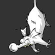 fepajybeqor Profile Picture