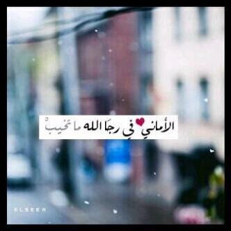 Awlhan1 Profile Picture