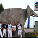 Lane Cole - @wildtonlane - Twitter