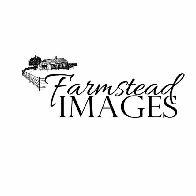 Livestock, Equine, Farm, Family, portrait photographer