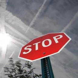 Natural born skywatcher, life lover, music addicted, dream chaser, weed smoker, free thinker and a bad bitch ;) ====✈ #StopChemtrails #StopGeoEngineering ====✈