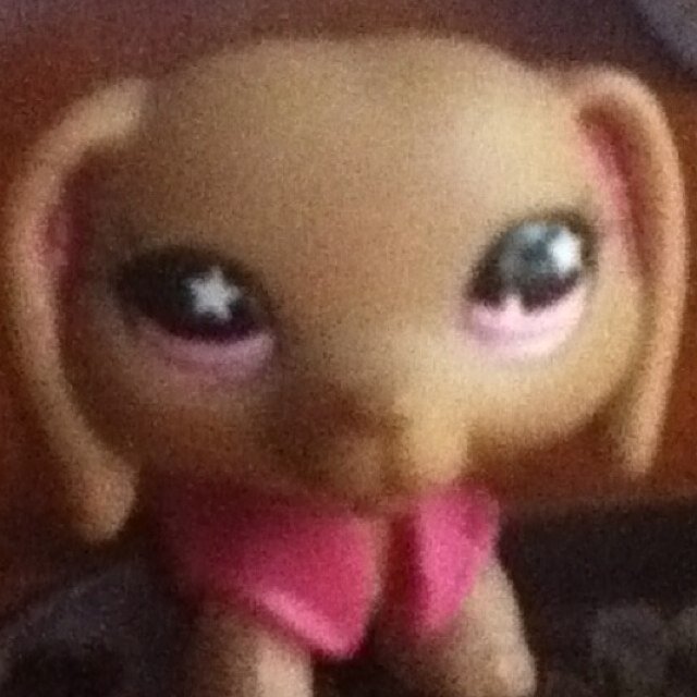 MccallumNoel's profile picture. hi guys it is/ i_sims_lps_and_others my goul is 200 followers